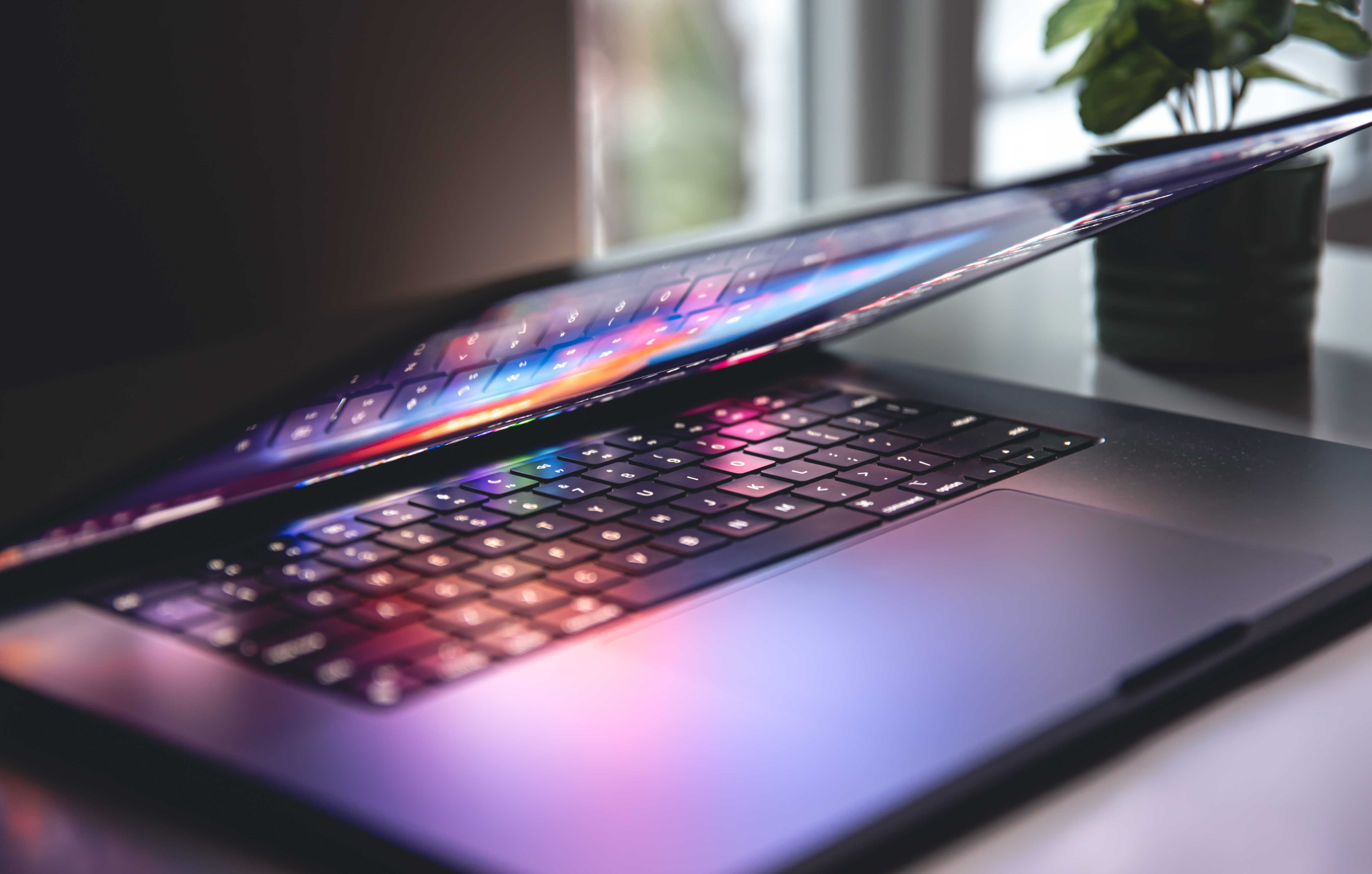 Como o Digital Impulsiona o Colecionismo