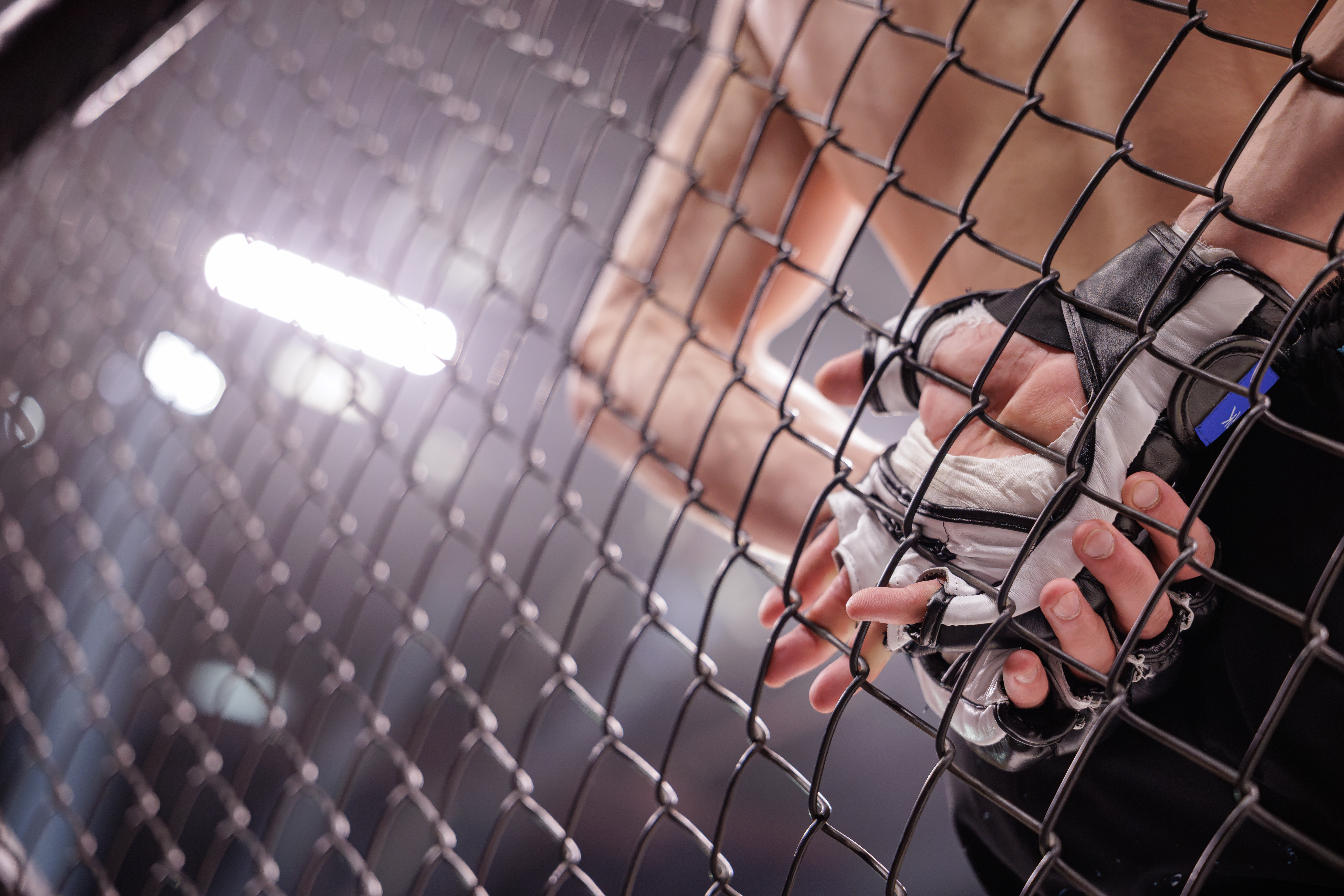 Os Maiores Nocautes da História do UFC