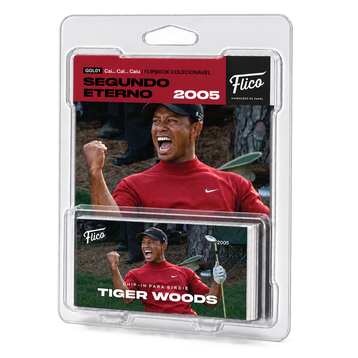 Flipbook Tiger Woods Chip no Buraco 16 Masters 2005